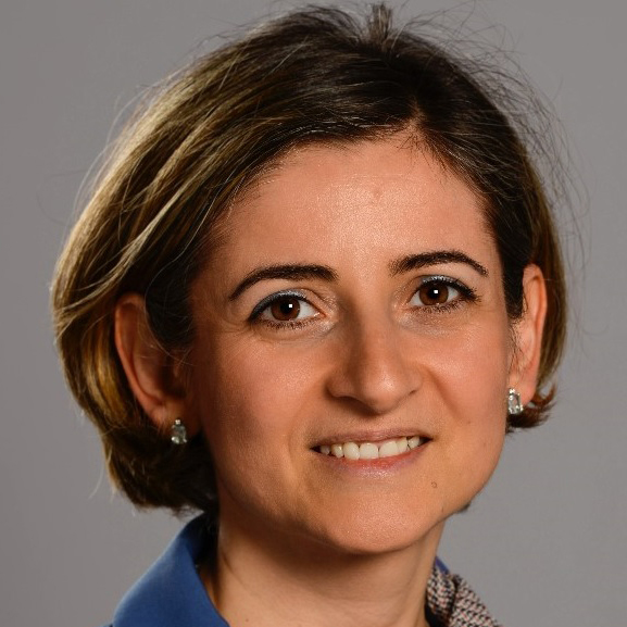 Stefania Angela Di Fusco 's Author avatar