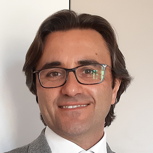 Raimondo Calvanese 's Author avatar