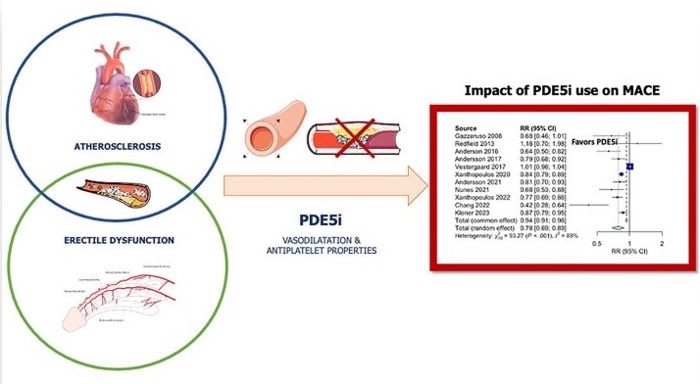 L’utilizzo di inibitori della fosfodiesterasi nei pazienti con cardiopatia L’utilizzo di inibitori della fosfodiesterasi nei pazienti con cardiopatia