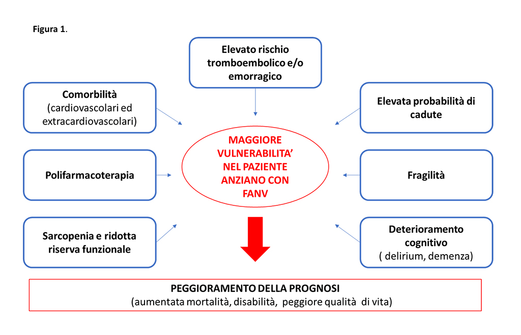Fibrillazione atriale non valvolare nell’anziano